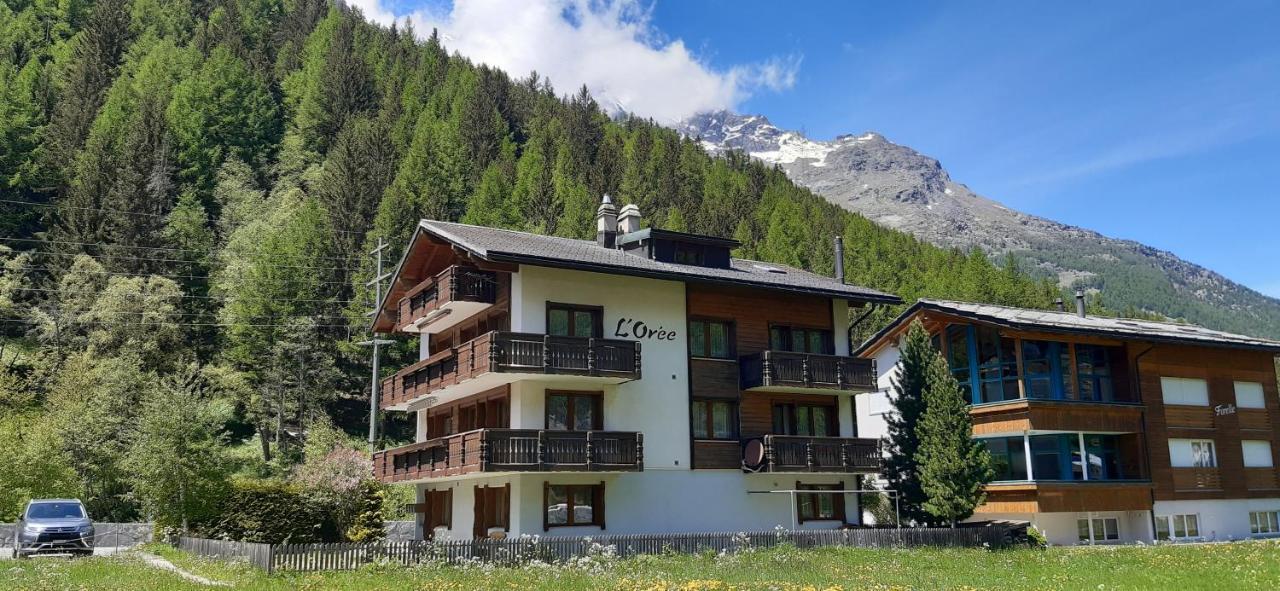 Free Cable Car & Bus In The Summer Haus L'Oree Saas-Grund Kültér fotó